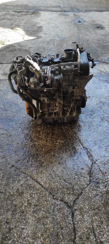 1.2 tsi cjz best sale